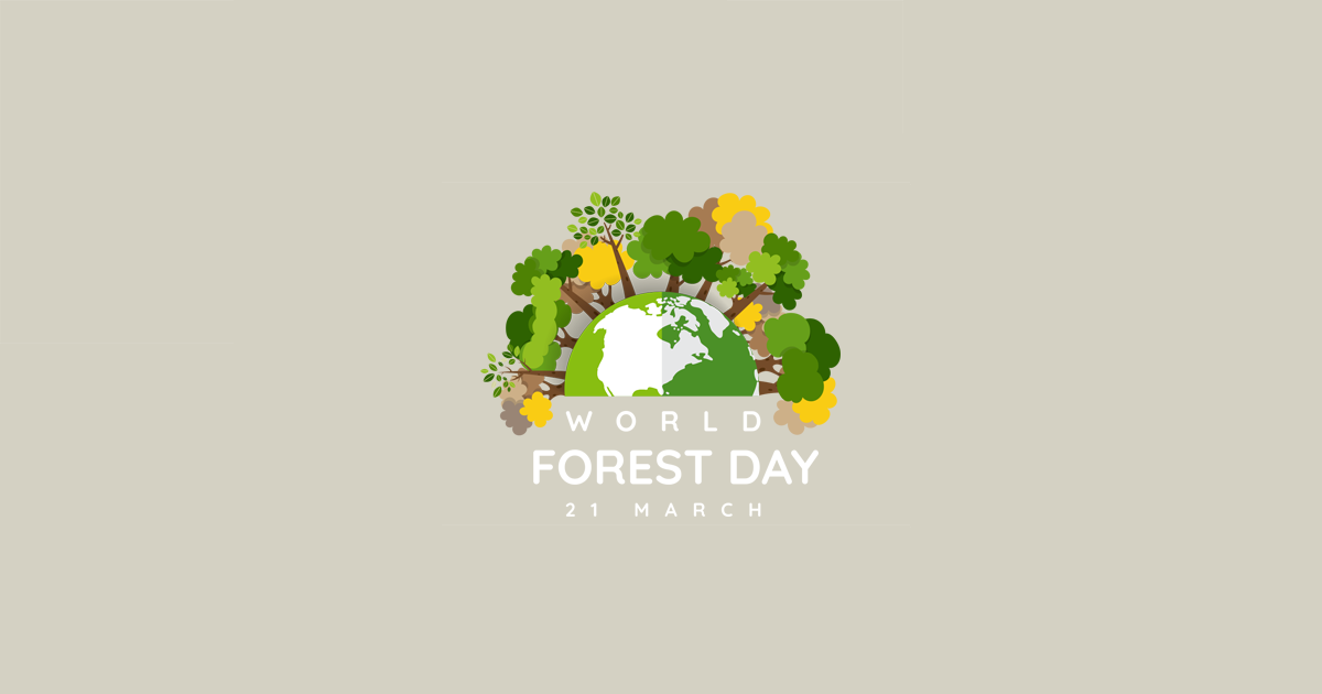 Forest Day | Swift Geospatial | Forestry Monitoring