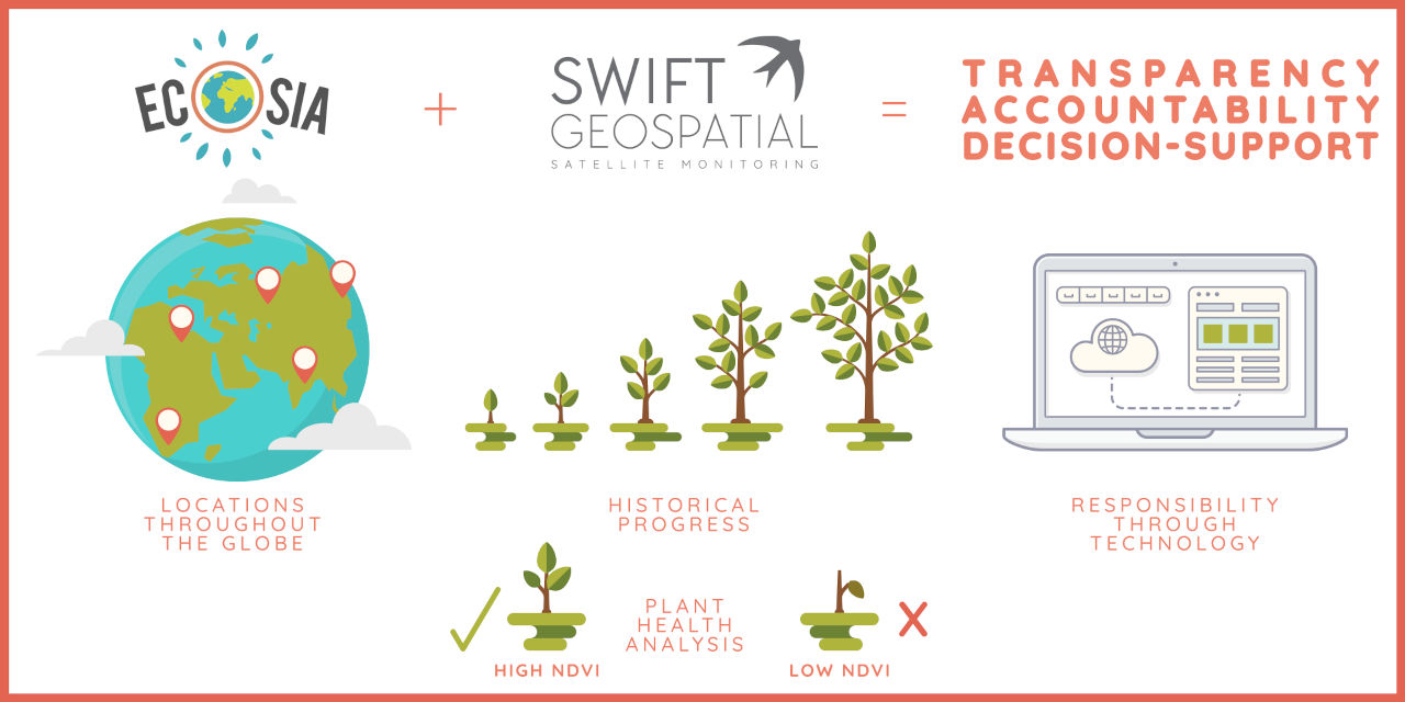 Ecosia Satellite Monitoring | Tree Monitoring | Swift Geospatial