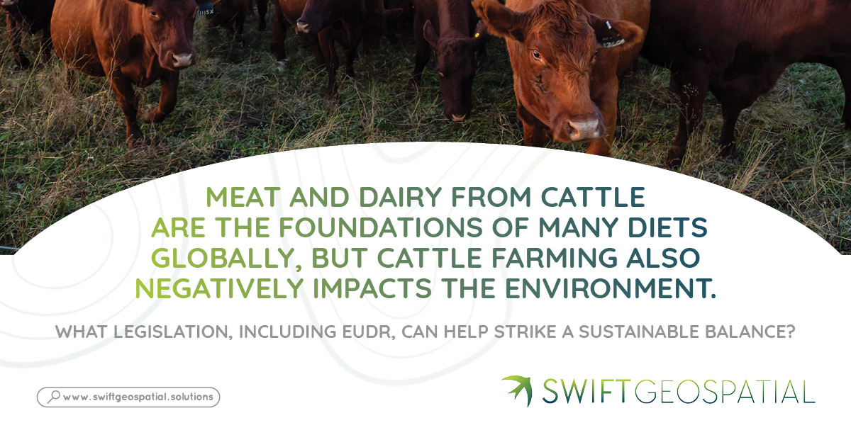 Soy protein contains all nine essential amino acids and important nutrients. Its high protein content, alongside other benefits, makes soy an attractive food source for both human consumption and livestock feed. But soy is also an intensively grown crop heavily reliant on land use, fertiliser, and pesticides. How can EUDR and other legislation help prevent unsustainable cultivation?