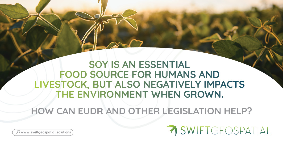 Soy protein contains all nine essential amino acids and important nutrients. Its high protein content, alongside other benefits, makes soy an attractive food source for both human consumption and livestock feed. But soy is also an intensively grown crop heavily reliant on land use, fertiliser, and pesticides. How can EUDR and other legislation help prevent unsustainable cultivation?