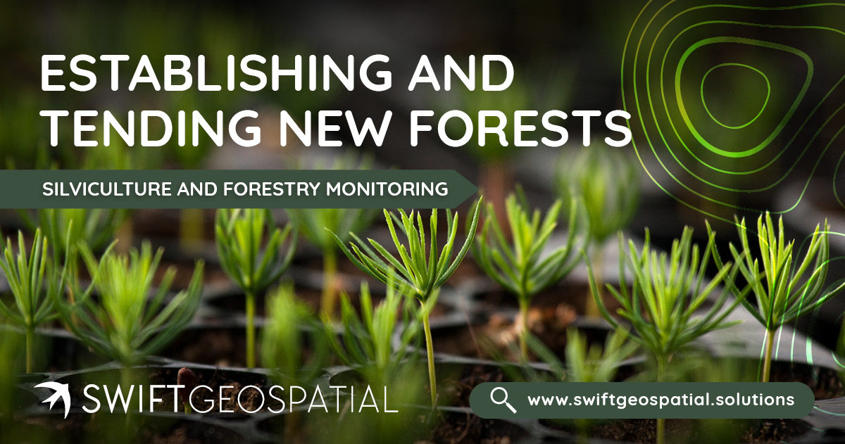 SwiftGeospatial Post Establishing New Forests 2 SwiftGeospatial Post Establishing New Forests 2