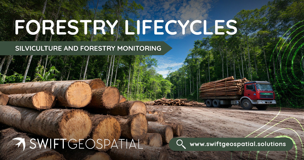 SwiftGeospatial Post Forestry lifecycles 2 SwiftGeospatial Post Forestry lifecycles 2