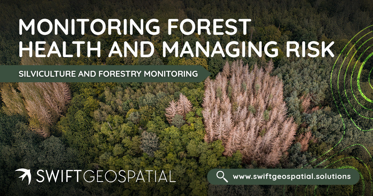 SwiftGeospatial Post Monitoring Forest Health 2 SwiftGeospatial Post Monitoring Forest Health 2