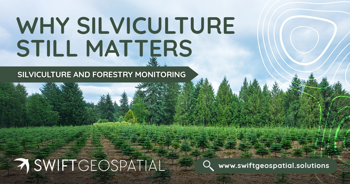 SwiftGeospatial Post Why Silviculture Matters 2 SwiftGeospatial Post Why Silviculture Matters 2