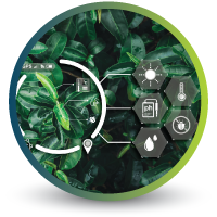 Custom-vegetation-indices-Icon