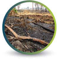 Fire-detection-&-tracking-Icon