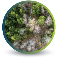 Stress-Identification-Icon