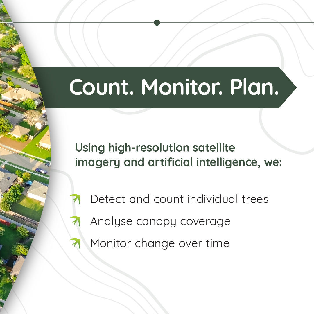 Swift Urban Tree Counting & Monitoring 3