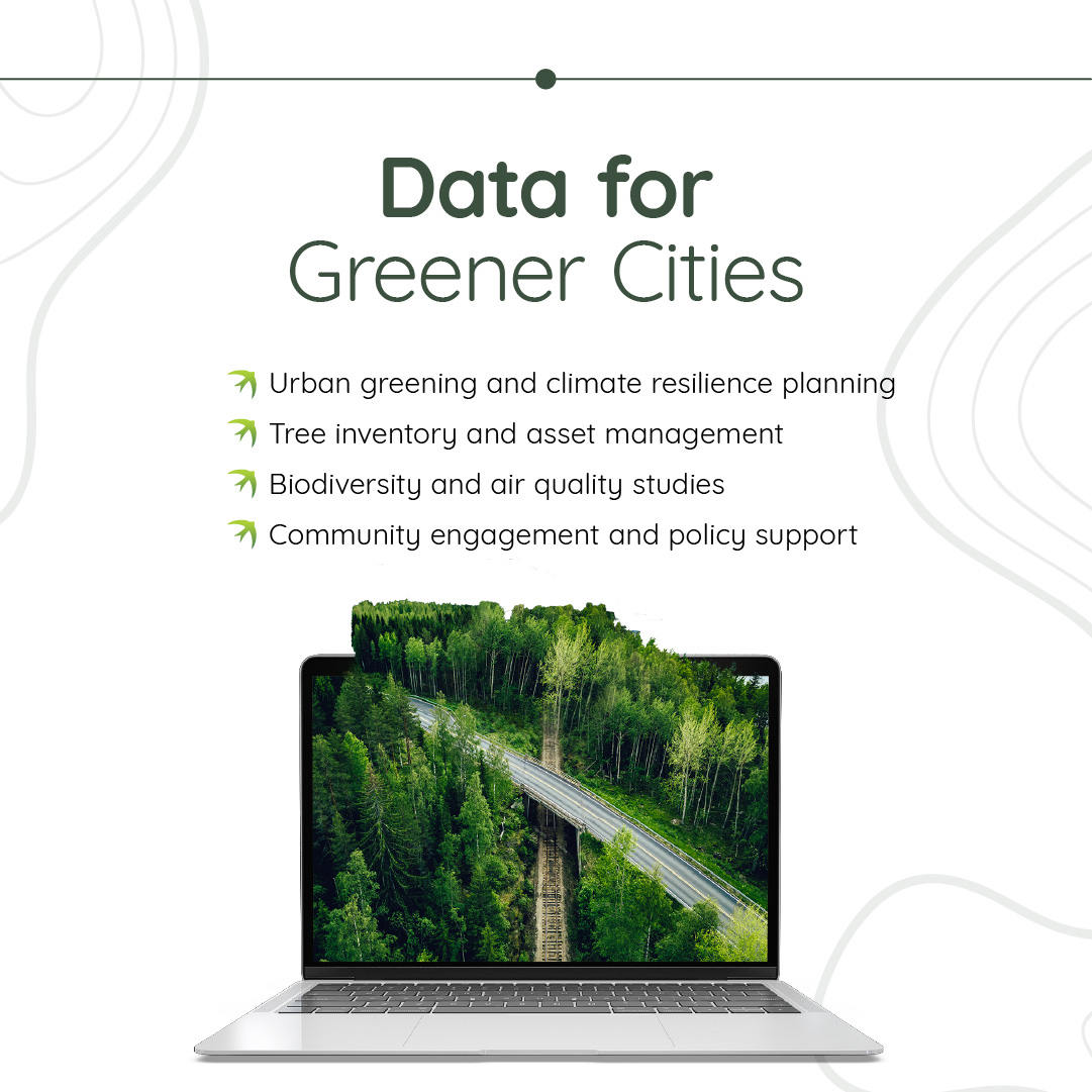 Swift Urban Tree Counting & Monitoring 4