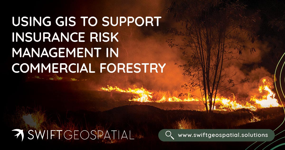 Swift-Post-Risk-Management-in-ComForestry-1